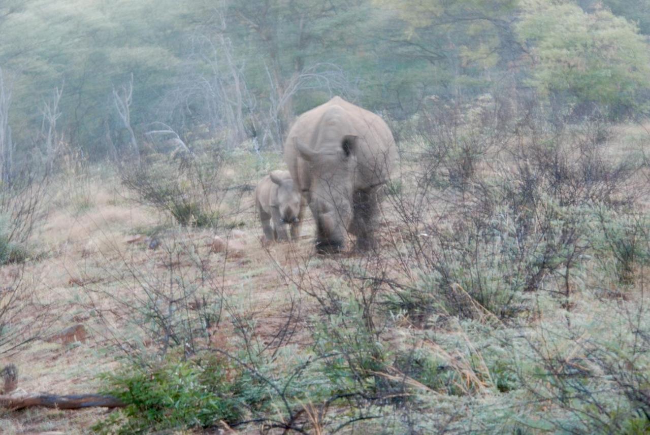 Kgorogoro Lodge Pilanesberg Ngoại thất bức ảnh