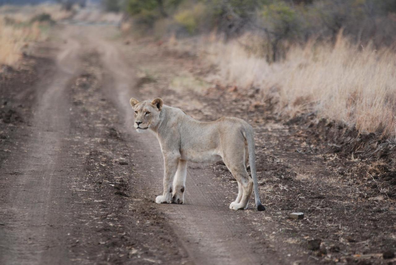 Kgorogoro Lodge Pilanesberg Ngoại thất bức ảnh
